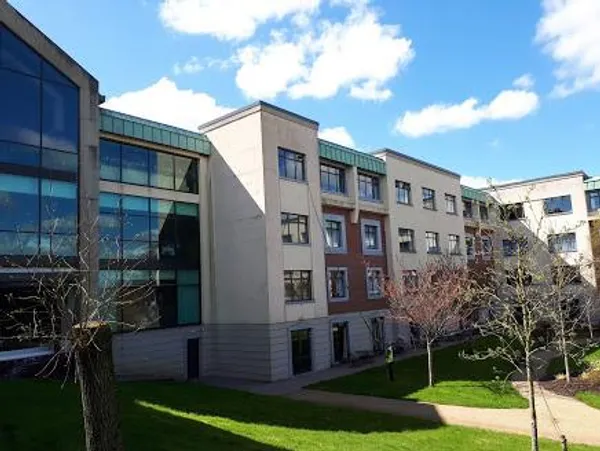 Office building with clean windows on a sunny day